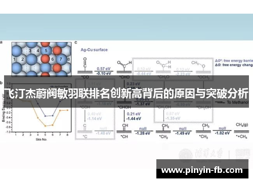 飞汀杰蔚阀敏羽联排名创新高背后的原因与突破分析 飞汀杰蔚阀敏羽联排名创新高背后的原因与突破分析