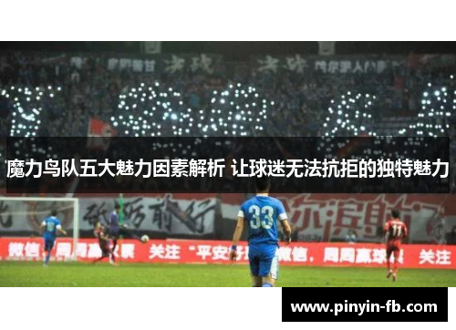 魔力鸟队五大魅力因素解析 让球迷无法抗拒的独特魅力