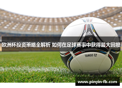 欧洲杯投资策略全解析 如何在足球赛事中获得最大回报 欧洲杯投资策略全解析 如何在足球赛事中获得最大回报