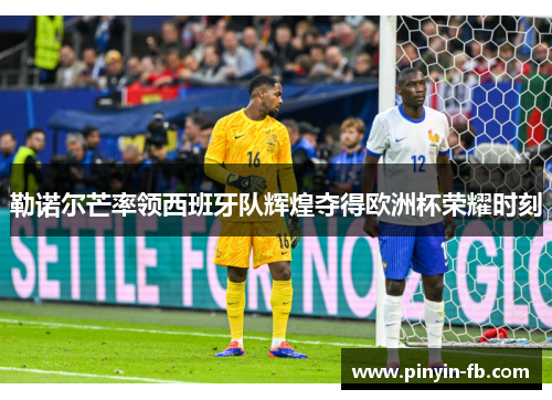 勒诺尔芒率领西班牙队辉煌夺得欧洲杯荣耀时刻