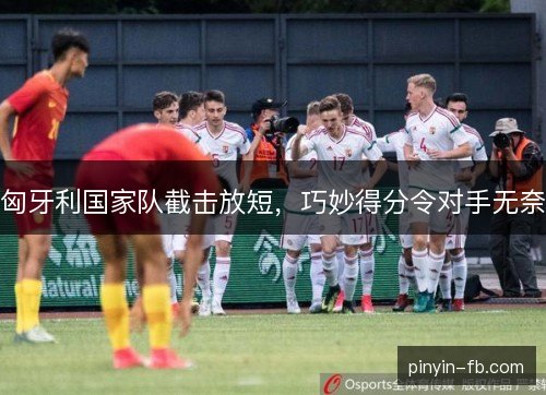 匈牙利国家队截击放短,巧妙得分令对手无奈 匈牙利国家队截击放短,巧妙得分令对手无奈